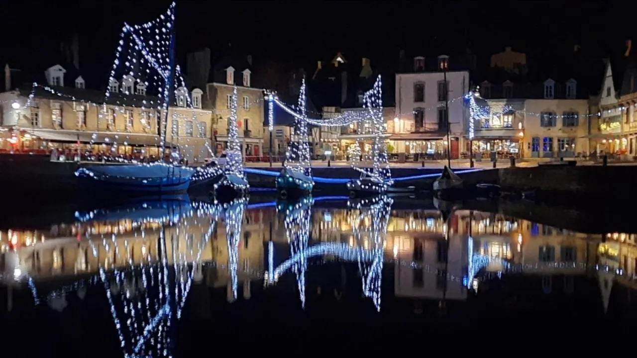 Coup De Coeur Sur Le Port De St Goustan, Tres Bel Appartement Avec Terrasse Auray